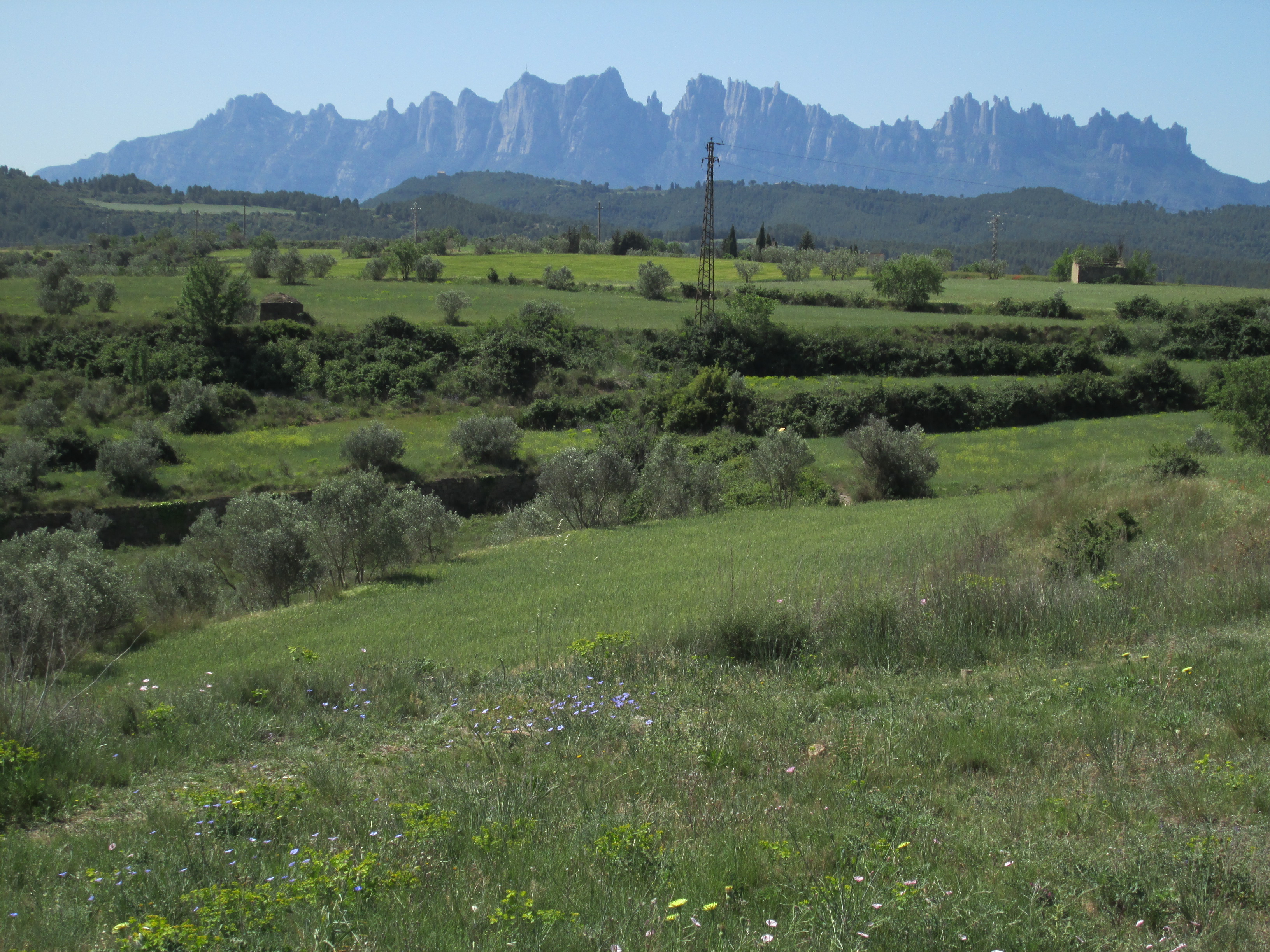 manresa-landschaft.JPG