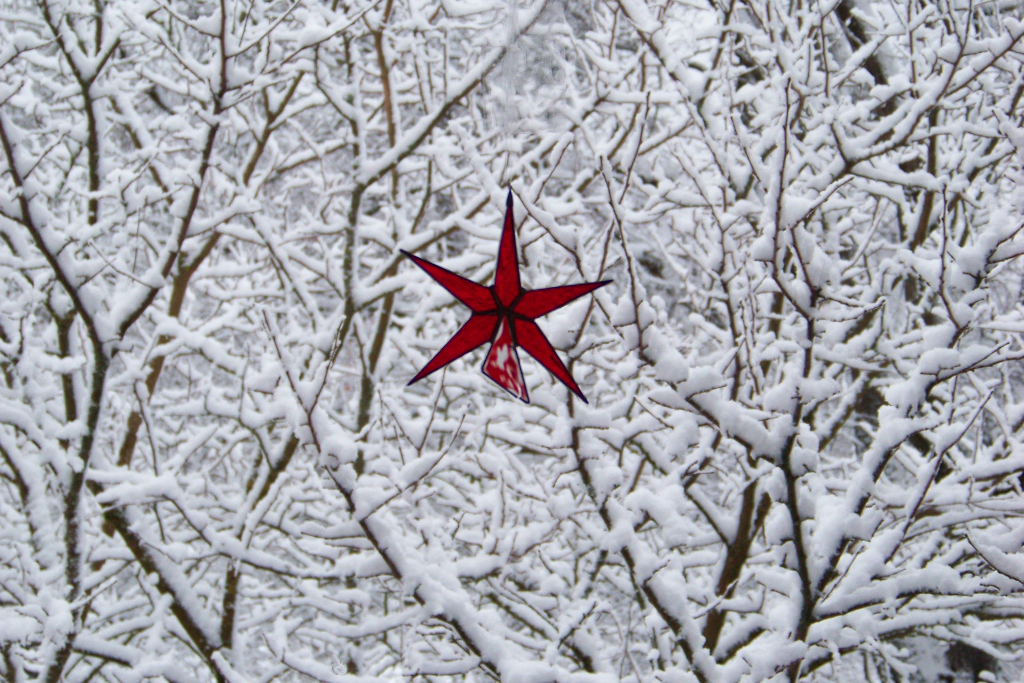 roter-stern-im-schnee.jpg