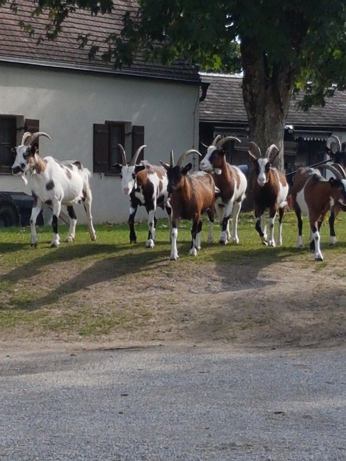 Bild3_UoK.jpg