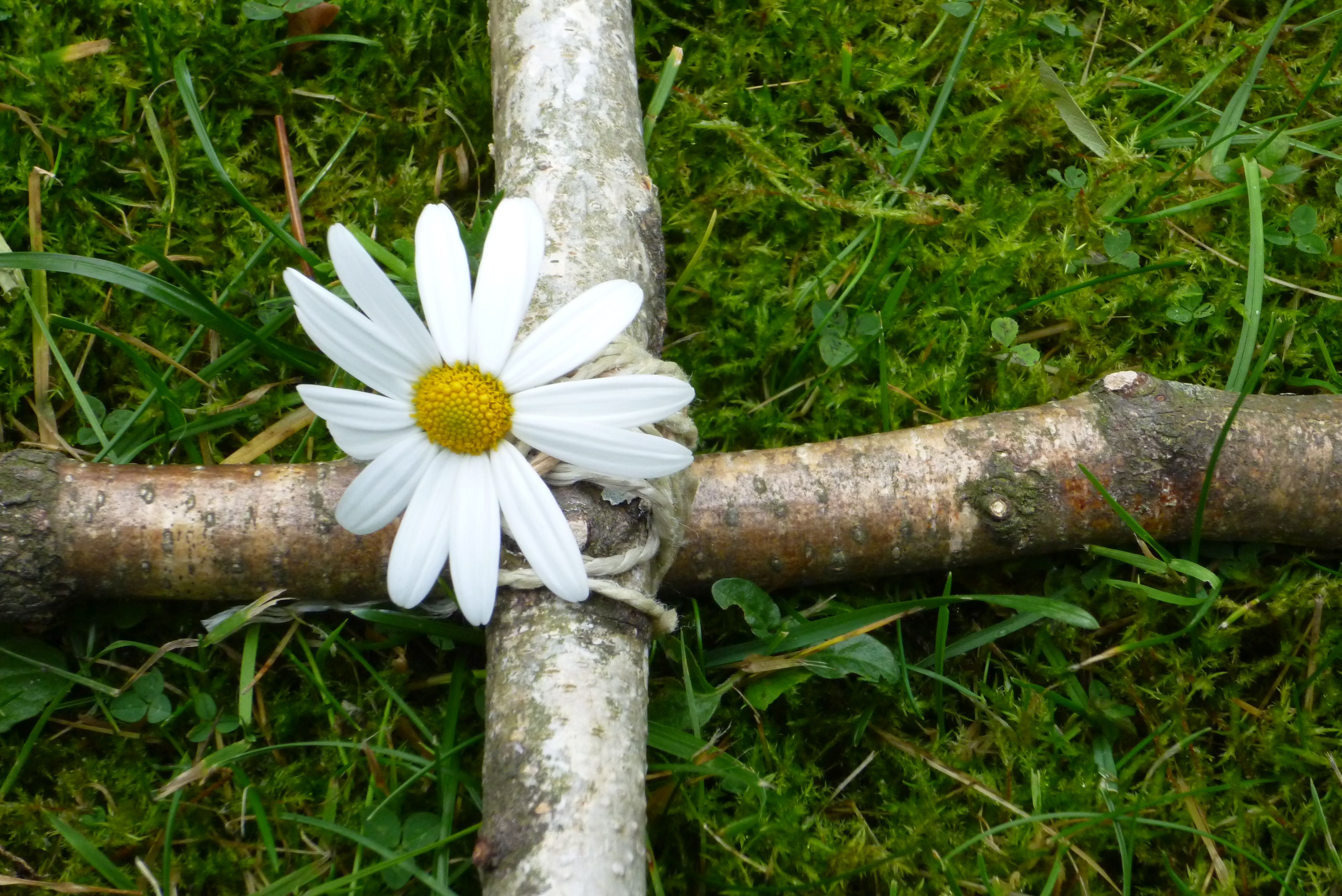 Holzkreuz mit Gänseblümchen