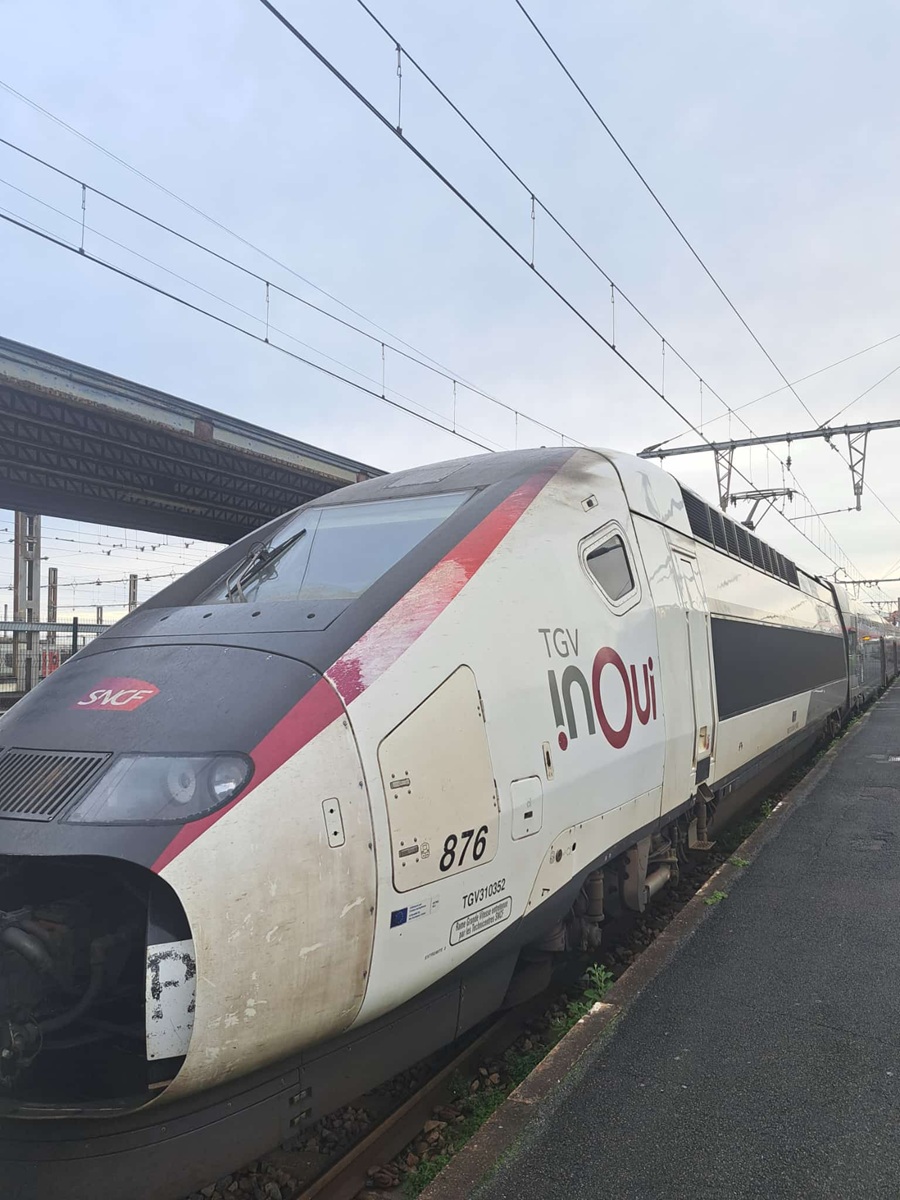 WhatsApp Image 2025-11-07 at 19.47.41(1).jpeg