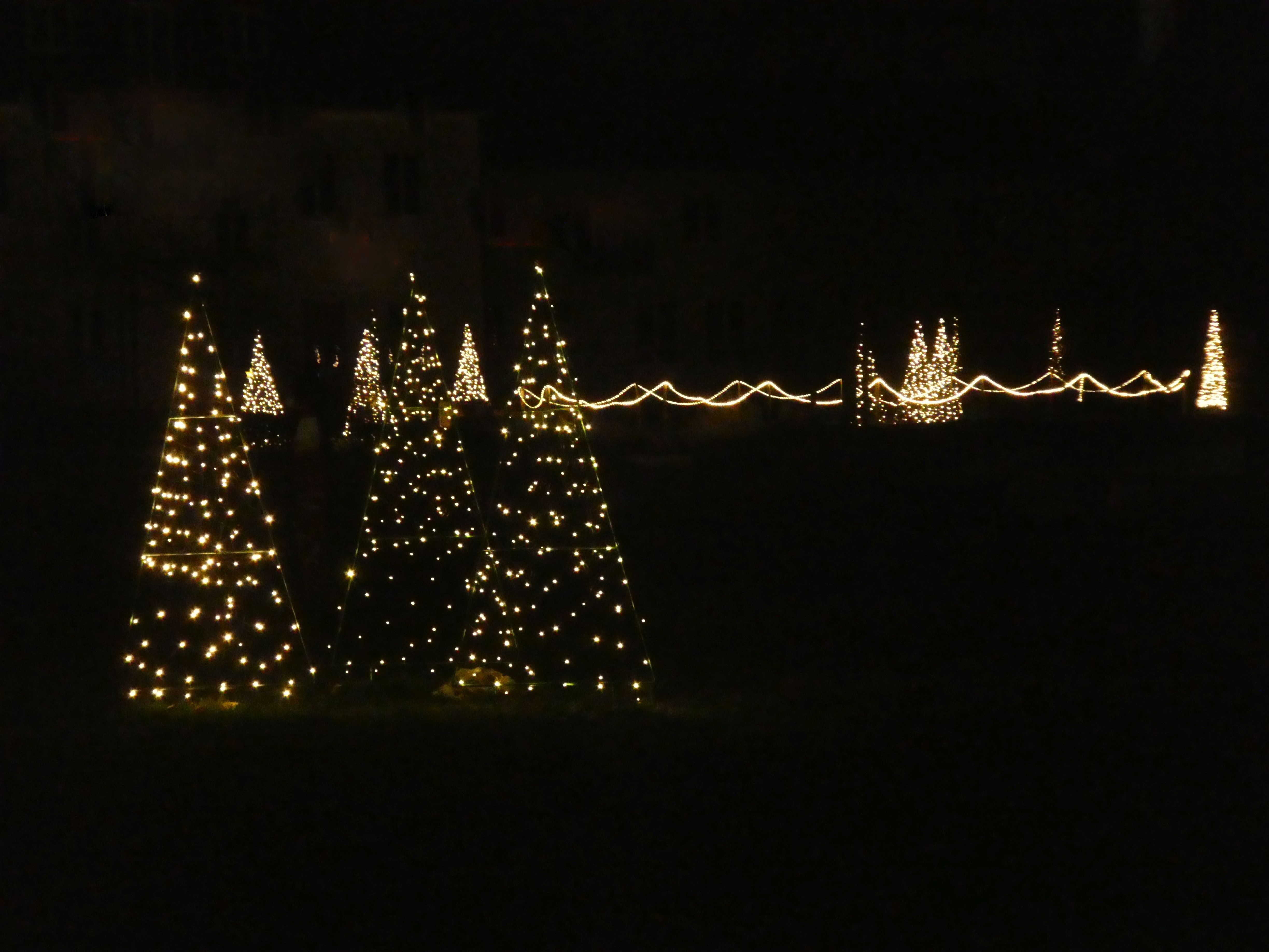 weihnachtsbeleuchtung-schulgarten-altoetting-weihnachtskarte.jpg