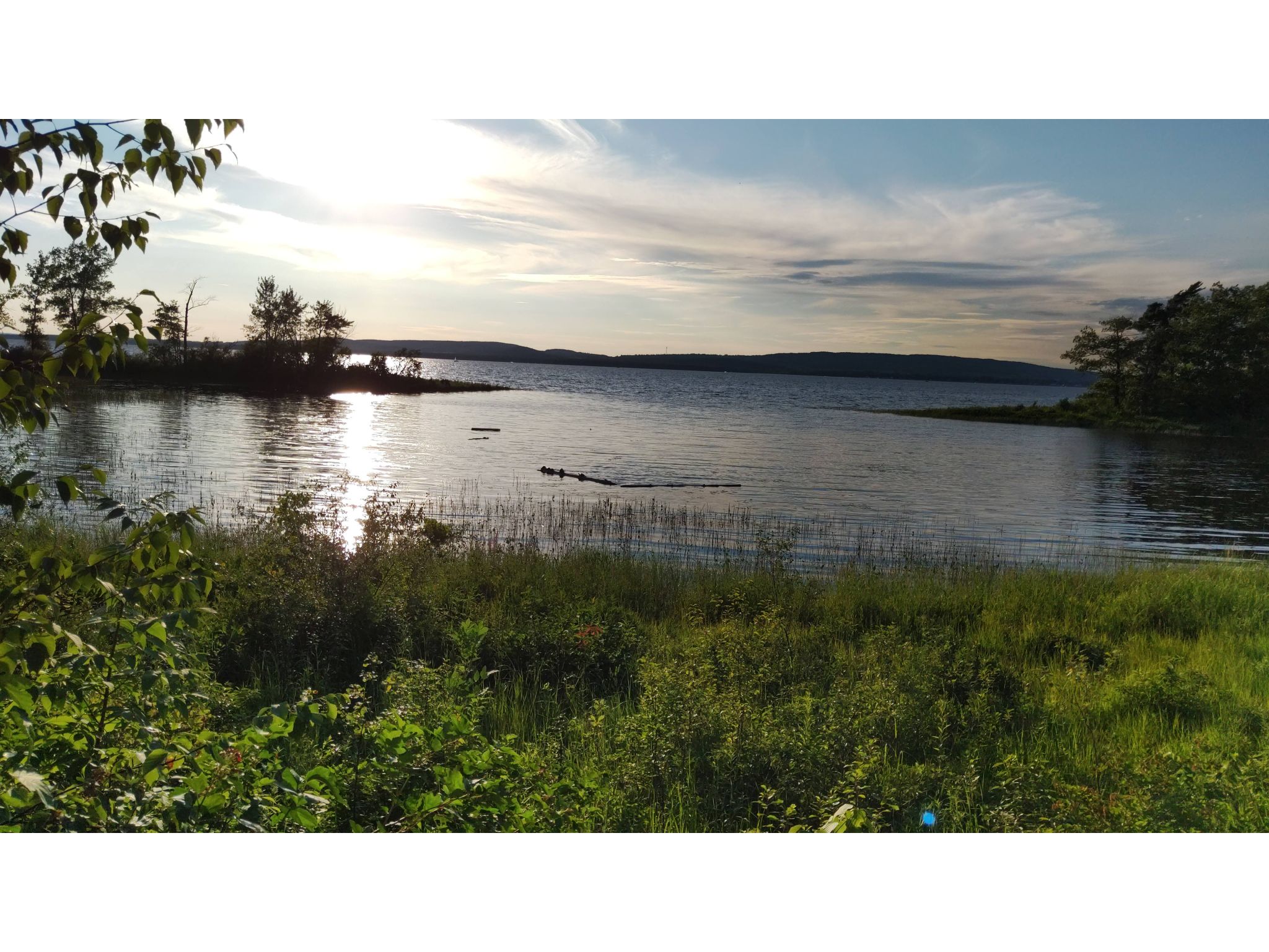 Schildkröten am Abend am Lorenzriver bei Montreal_bearbeitet,jpg.jpg