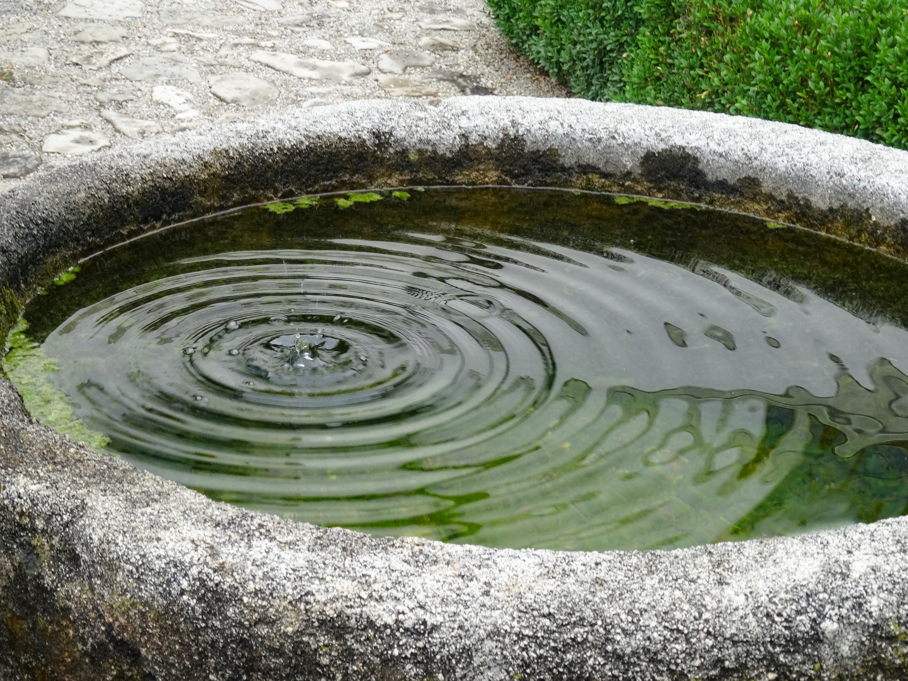 Wasser_brunnen_mocj.jpg