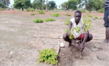 loreto-rumbek-schueler-gartenarbeit.png