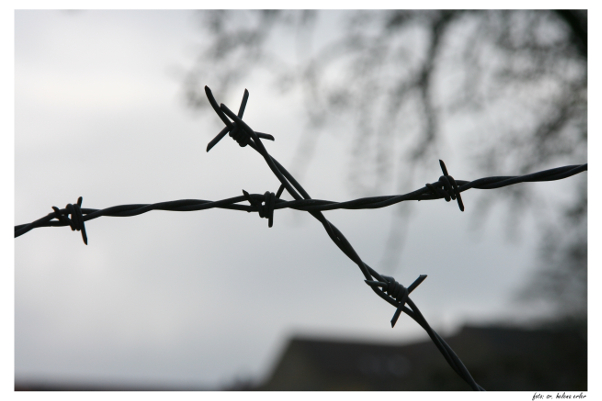 stacheldraht_kreuz-web-gross.jpg